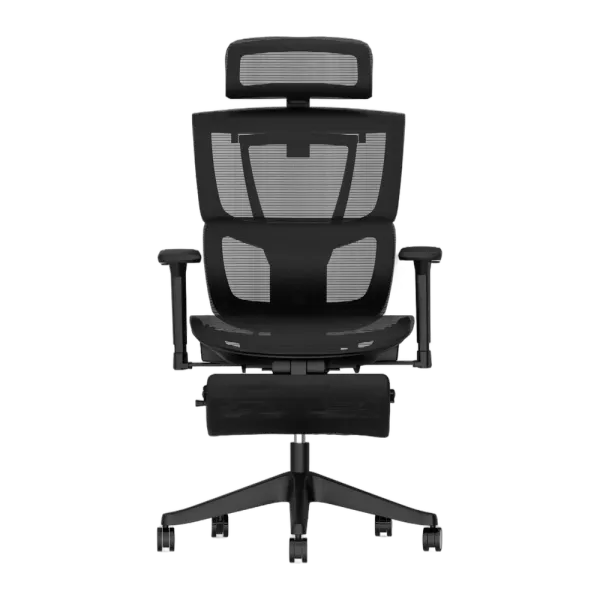 FlexiSpot C7